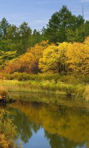 Preview wallpaper autumn, river, trees, bushes, reflection