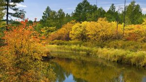 Preview wallpaper autumn, river, trees, bushes, reflection