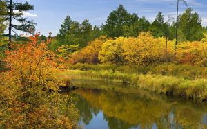 Preview wallpaper autumn, river, trees, bushes, reflection