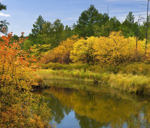 Preview wallpaper autumn, river, trees, bushes, reflection