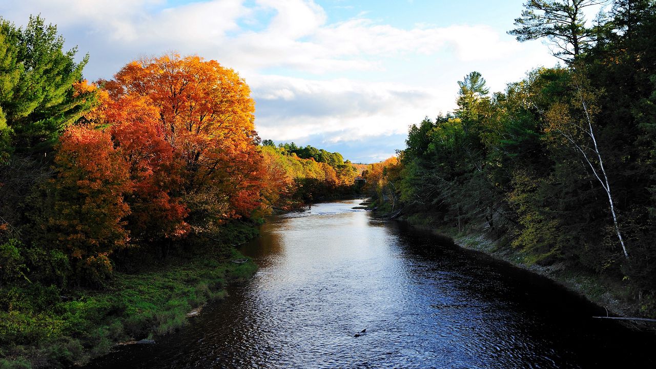 Wallpaper autumn, river, trees, nature