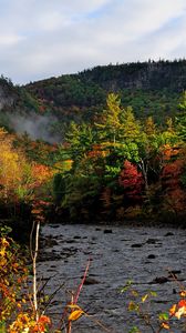 Preview wallpaper autumn, river, trees, forest