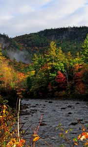 Preview wallpaper autumn, river, trees, forest