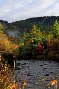 Preview wallpaper autumn, river, trees, forest