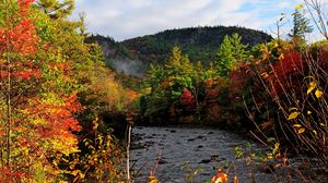 Preview wallpaper autumn, river, trees, forest