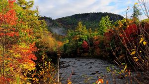 Preview wallpaper autumn, river, trees, forest