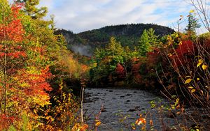 Preview wallpaper autumn, river, trees, forest