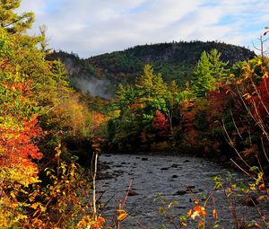 Preview wallpaper autumn, river, trees, forest