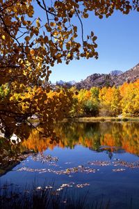 Preview wallpaper autumn, river, trees, leaves