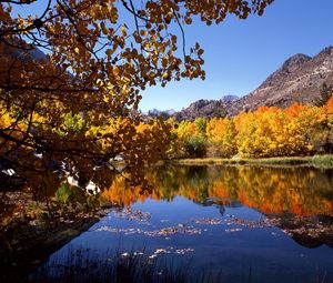 Preview wallpaper autumn, river, trees, leaves