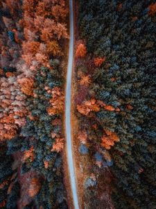 Preview wallpaper autumn, road, aerial view, trees, forest