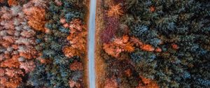 Preview wallpaper autumn, road, aerial view, trees, forest