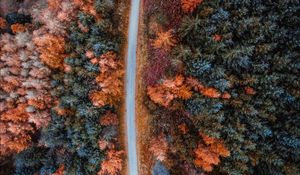 Preview wallpaper autumn, road, aerial view, trees, forest