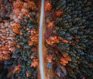 Preview wallpaper autumn, road, aerial view, trees, forest