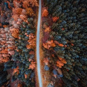 Preview wallpaper autumn, road, aerial view, trees, forest