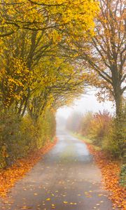 Preview wallpaper autumn, road, fog, leaves, overcast