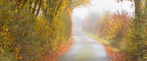 Preview wallpaper autumn, road, fog, leaves, overcast