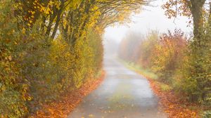 Preview wallpaper autumn, road, fog, leaves, overcast