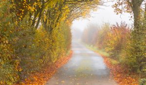 Preview wallpaper autumn, road, fog, leaves, overcast