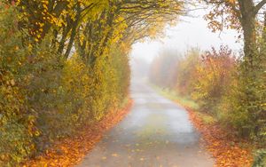 Preview wallpaper autumn, road, fog, leaves, overcast