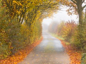 Preview wallpaper autumn, road, fog, leaves, overcast