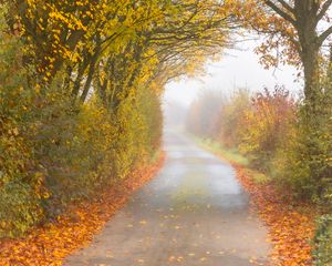 Preview wallpaper autumn, road, fog, leaves, overcast