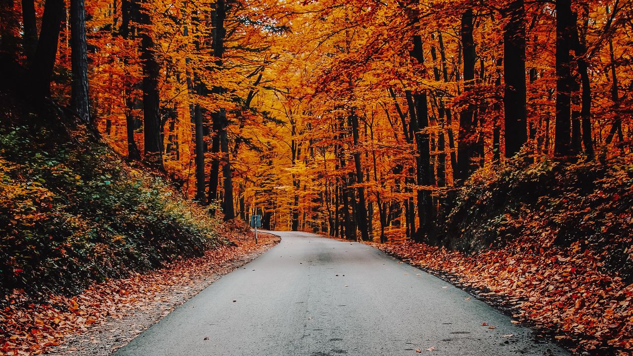 Wallpaper autumn, road, foliage, turn, asphalt