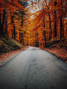 Preview wallpaper autumn, road, foliage, turn, asphalt