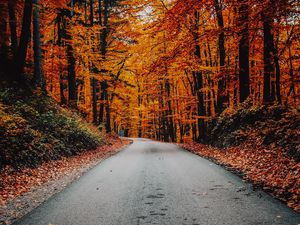 Preview wallpaper autumn, road, foliage, turn, asphalt