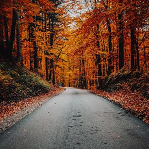 Preview wallpaper autumn, road, foliage, turn, asphalt