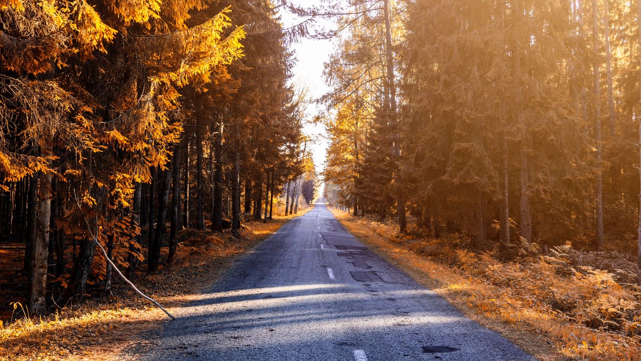 Wallpaper autumn, road, forest, sunlight