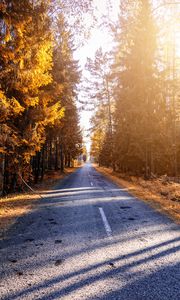 Preview wallpaper autumn, road, forest, sunlight