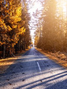 Preview wallpaper autumn, road, forest, sunlight