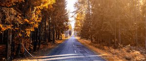 Preview wallpaper autumn, road, forest, sunlight