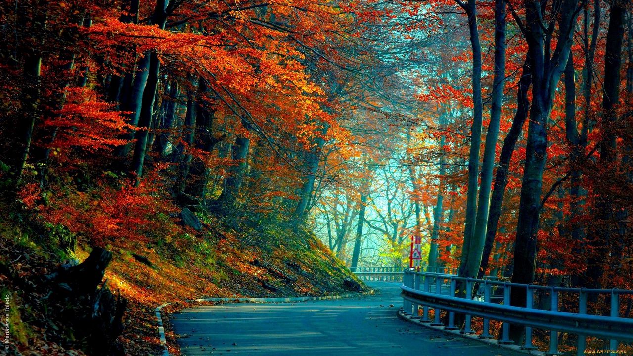Wallpaper autumn, road, leaves