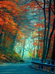 Preview wallpaper autumn, road, leaves