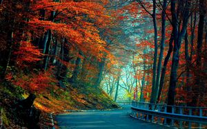 Preview wallpaper autumn, road, leaves