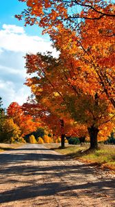 Preview wallpaper autumn, road, trees, leaves, yellow, shades