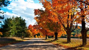 Preview wallpaper autumn, road, trees, leaves, yellow, shades