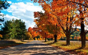 Preview wallpaper autumn, road, trees, leaves, yellow, shades