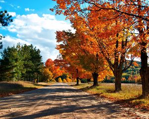 Preview wallpaper autumn, road, trees, leaves, yellow, shades