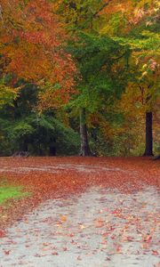Preview wallpaper autumn, road, trees, landscape