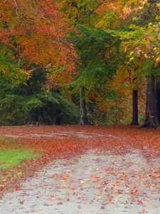 Preview wallpaper autumn, road, trees, landscape