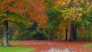 Preview wallpaper autumn, road, trees, landscape