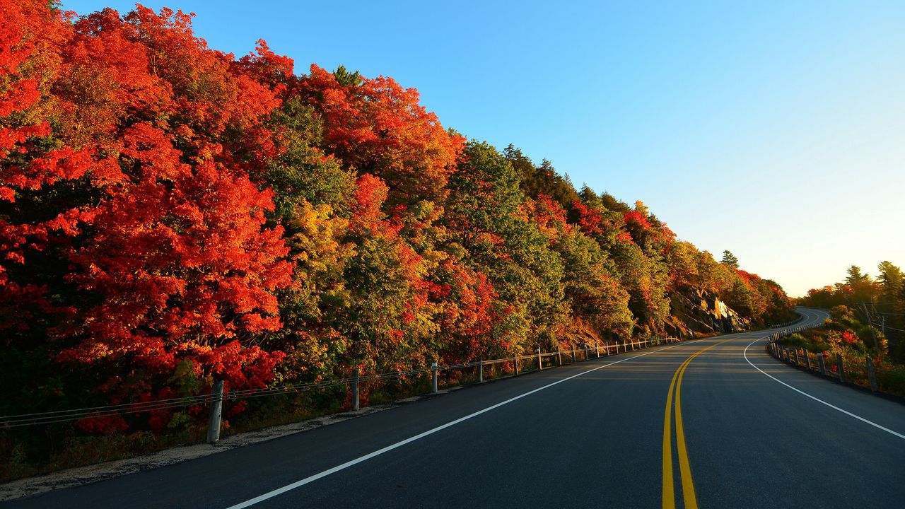 Wallpaper autumn, road, turn, trees, marking