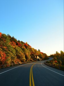 Preview wallpaper autumn, road, turn, trees, marking