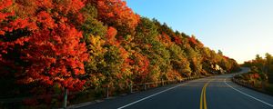 Preview wallpaper autumn, road, turn, trees, marking