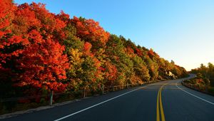 Preview wallpaper autumn, road, turn, trees, marking