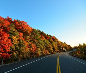 Preview wallpaper autumn, road, turn, trees, marking