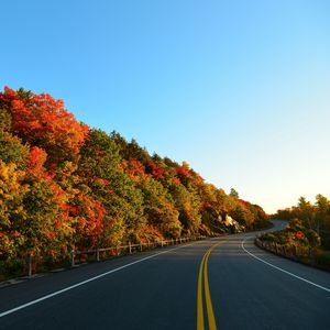 Preview wallpaper autumn, road, turn, trees, marking